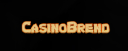 카지노사이트 드래곤게이밍-dragongaming-casinobrend 카지노사이트인포