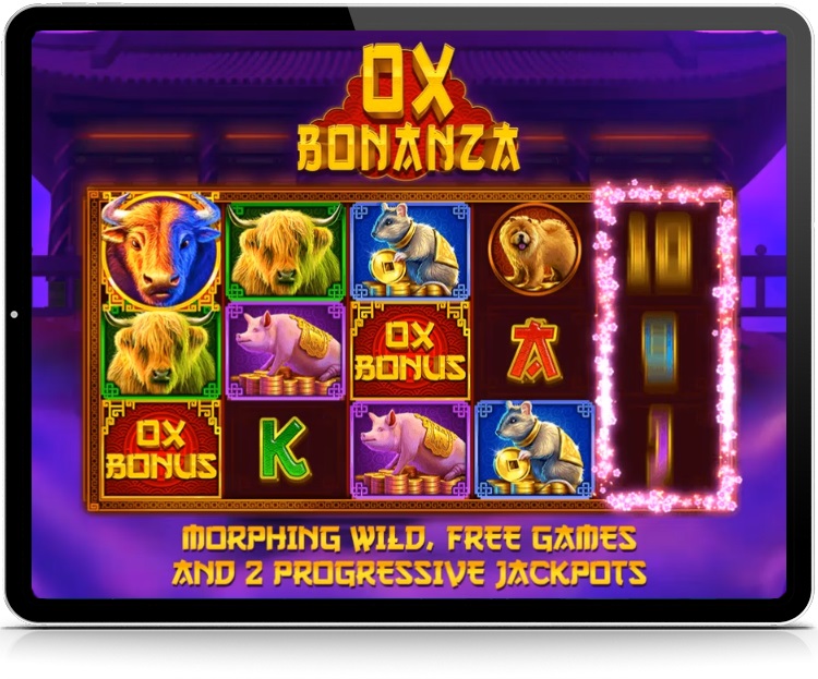 카지노사이트 알티지슬롯-rtgslots-oxbonanza 카지노사이트인포