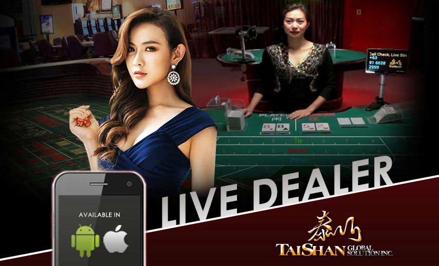 타이산게이밍 casinosite777.info