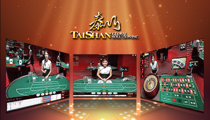 타이산게이밍 
			casinosite777.info